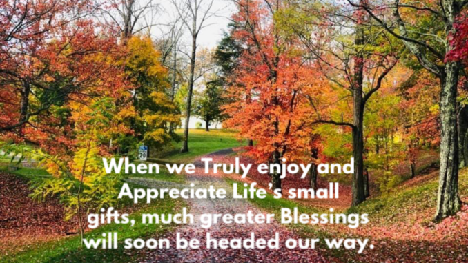 Fall photo of gratitude